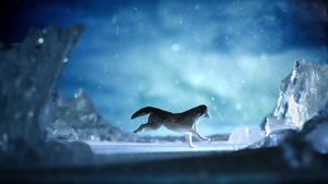 Q&A: Follow the Dogs post feature image