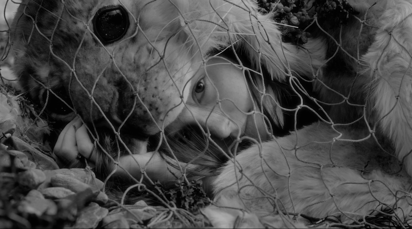 WILD THINGS • Short Films Where Fantasy Meets Reality